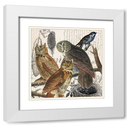 Owl White Modern Wood Framed Art Print with Double Matting by Jordan, Elizabeth