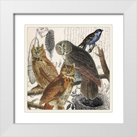 Owl White Modern Wood Framed Art Print with Double Matting by Jordan, Elizabeth