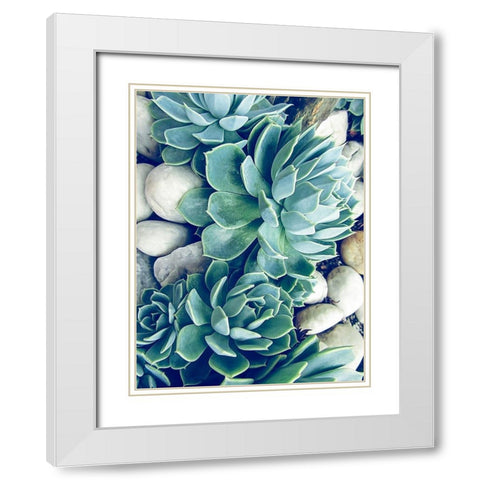 Succulents no words White Modern Wood Framed Art Print with Double Matting by Urban Epiphany