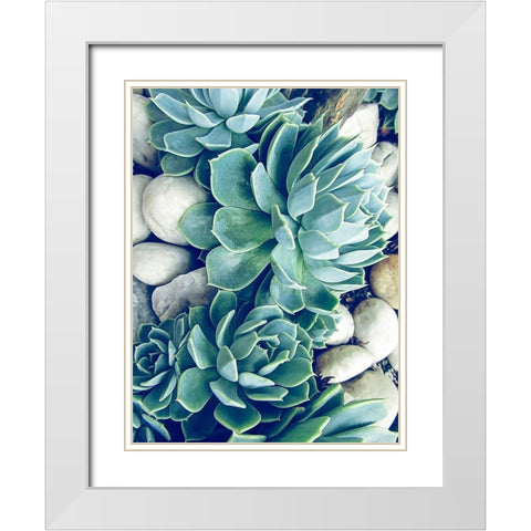 Succulents no words White Modern Wood Framed Art Print with Double Matting by Urban Epiphany