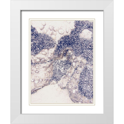 Shells 1 White Modern Wood Framed Art Print with Double Matting by Urban Epiphany
