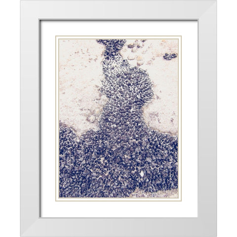 Shells 3 White Modern Wood Framed Art Print with Double Matting by Urban Epiphany