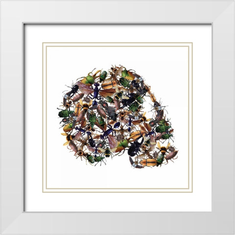 Skull 1.3.2 White Modern Wood Framed Art Print with Double Matting by Brown, Victoria