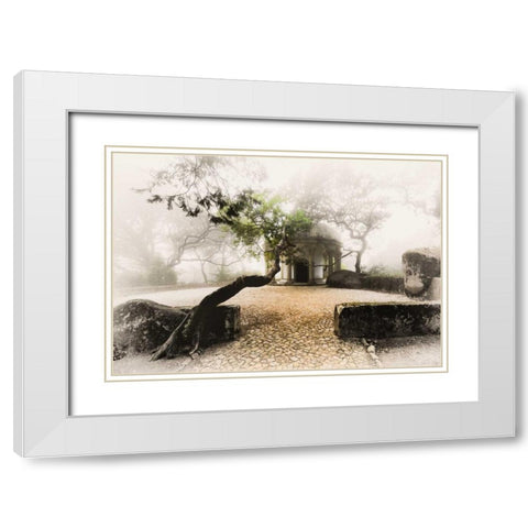 Portugal Sintra Chapel White Modern Wood Framed Art Print with Double Matting by Brown,Victoria