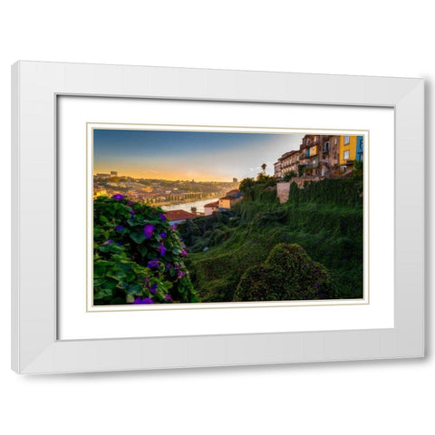 Porto Portugal Gardens White Modern Wood Framed Art Print with Double Matting by Kostka, Vladimir