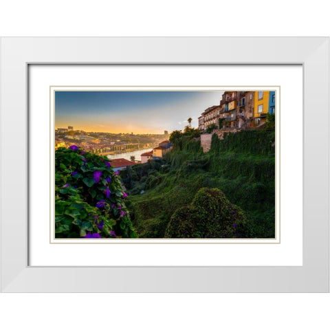Porto Portugal Gardens White Modern Wood Framed Art Print with Double Matting by Kostka, Vladimir