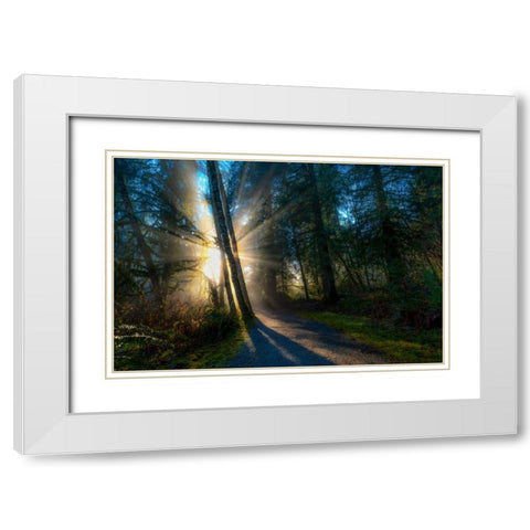 Light Rays White Modern Wood Framed Art Print with Double Matting by Kostka, Vladimir