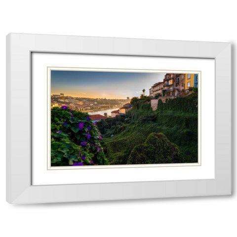 Portugal Porto Garden White Modern Wood Framed Art Print with Double Matting by Kostka, Vladimir
