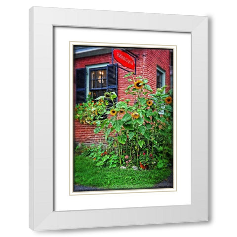 Country Store Sunflowers White Modern Wood Framed Art Print with Double Matting by Foschino, Suzanne