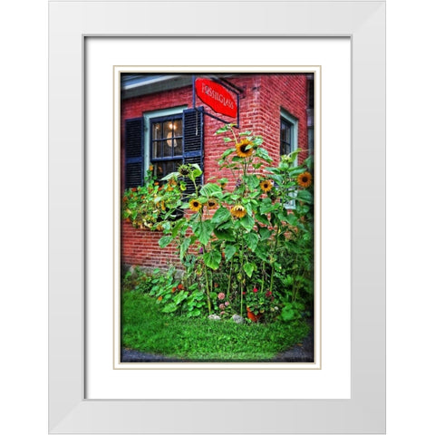 Country Store Sunflowers White Modern Wood Framed Art Print with Double Matting by Foschino, Suzanne