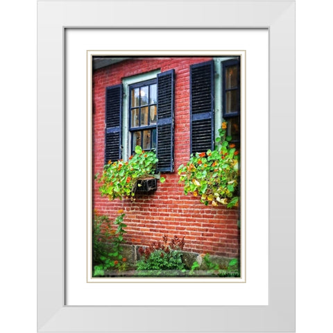 Country Store Window Flowers White Modern Wood Framed Art Print with Double Matting by Foschino, Suzanne