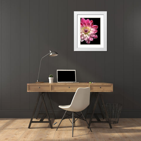 Ombre Dahlia 16 White Modern Wood Framed Art Print with Double Matting by Foschino, Suzanne