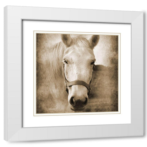 Good Boy White Modern Wood Framed Art Print with Double Matting by Foschino, Suzanne