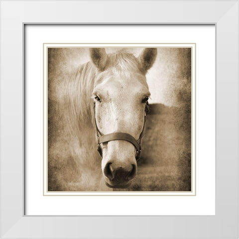Good Boy White Modern Wood Framed Art Print with Double Matting by Foschino, Suzanne