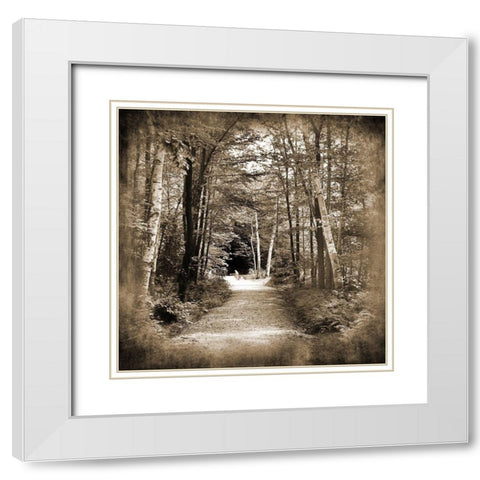 Vermont Mountain Trail 3 White Modern Wood Framed Art Print with Double Matting by Foschino, Suzanne