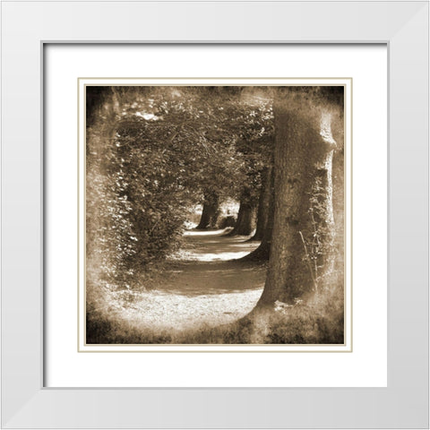 Wicklow Tree Line 1 White Modern Wood Framed Art Print with Double Matting by Foschino, Suzanne