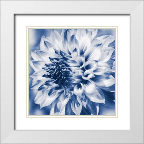 Dahlia Navy 1 White Modern Wood Framed Art Print with Double Matting by Foschino, Suzanne