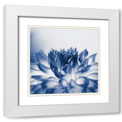 Dahlia Navy 3 White Modern Wood Framed Art Print with Double Matting by Foschino, Suzanne