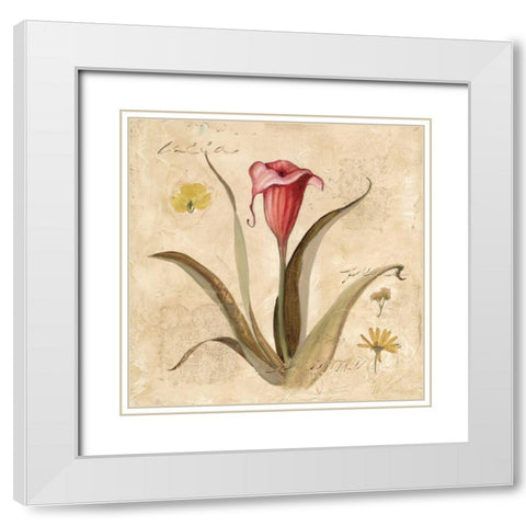 Red Calla Lily White Modern Wood Framed Art Print with Double Matting by Robinson, Carol