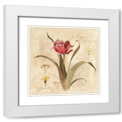 Red Tulip White Modern Wood Framed Art Print with Double Matting by Robinson, Carol