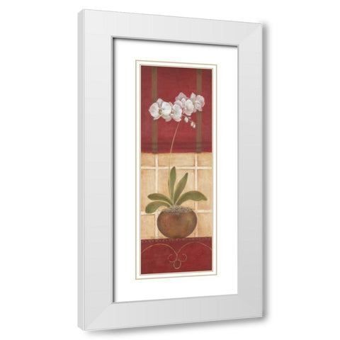 Window Wonders I White Modern Wood Framed Art Print with Double Matting by Tava Studios