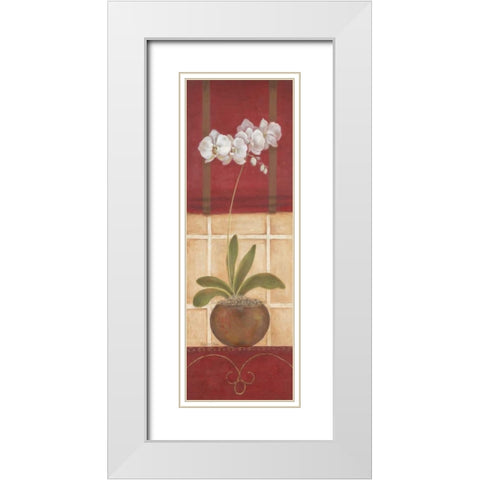 Window Wonders I White Modern Wood Framed Art Print with Double Matting by Tava Studios