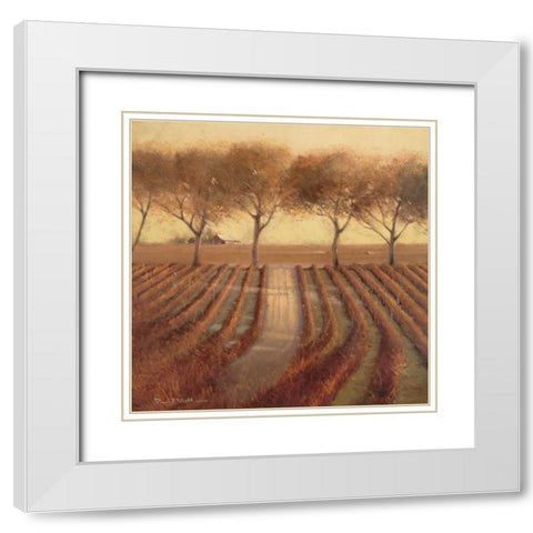 Vintage Sunlit Vineyard White Modern Wood Framed Art Print with Double Matting by Mathenia, Paul