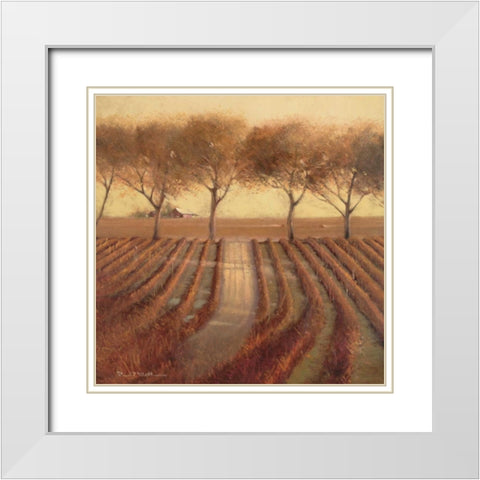 Vintage Sunlit Vineyard White Modern Wood Framed Art Print with Double Matting by Mathenia, Paul