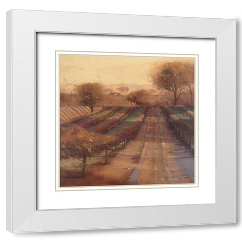Vineyard Vista White Modern Wood Framed Art Print with Double Matting by Mathenia, Paul