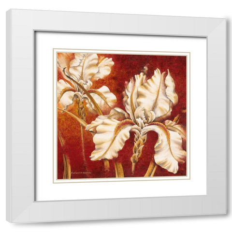 White Iris White Modern Wood Framed Art Print with Double Matting by Henson, Richard