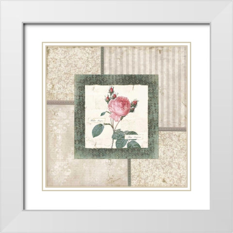 Rosa I White Modern Wood Framed Art Print with Double Matting by Robinson, Carol