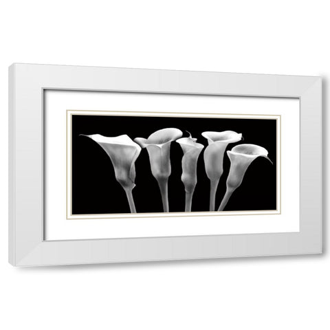 Lilies at Night White Modern Wood Framed Art Print with Double Matting by Craven, Katrina