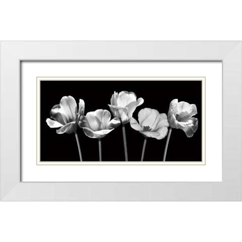 Tulips at Night White Modern Wood Framed Art Print with Double Matting by Craven, Katrina