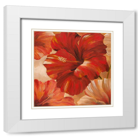 Sunlit Bloom II White Modern Wood Framed Art Print with Double Matting by Nan