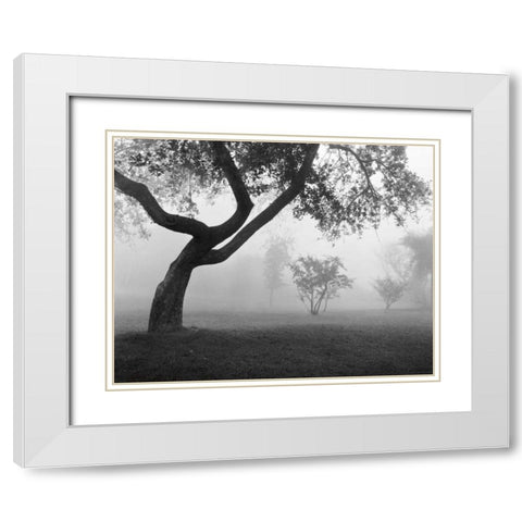 Into the Mist White Modern Wood Framed Art Print with Double Matting by Nagler, Monte