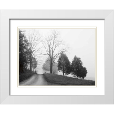 Tennessee Morning White Modern Wood Framed Art Print with Double Matting by Nagler, Monte