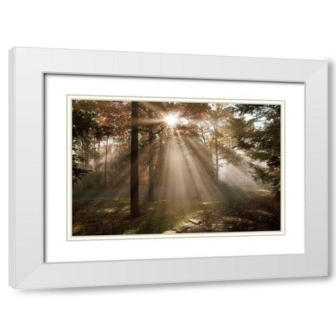 A New Day I White Modern Wood Framed Art Print with Double Matting by Dahlgren, Ann