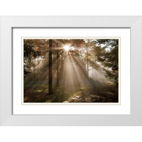 A New Day I White Modern Wood Framed Art Print with Double Matting by Dahlgren, Ann