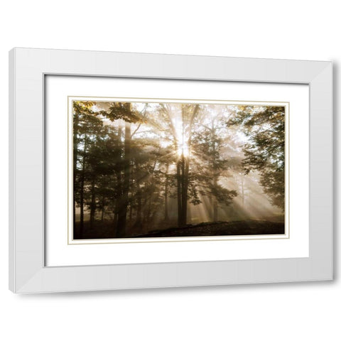 A New Day II White Modern Wood Framed Art Print with Double Matting by Dahlgren, Ann