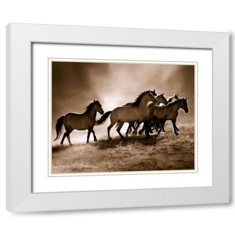 Wild Horses White Modern Wood Framed Art Print with Double Matting by Dearing, Lisa
