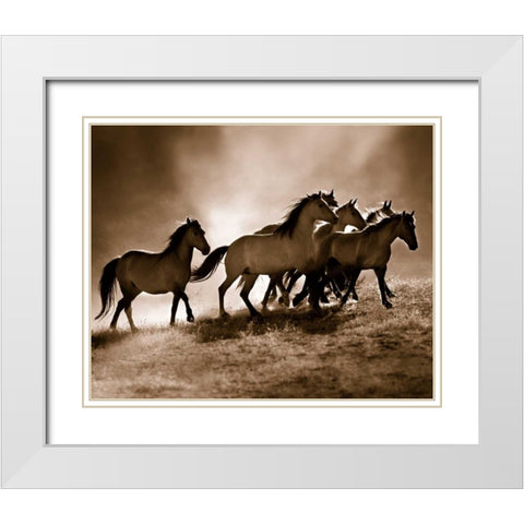 Wild Horses White Modern Wood Framed Art Print with Double Matting by Dearing, Lisa
