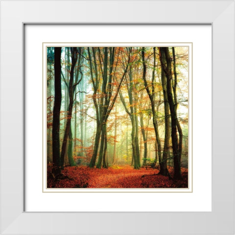 Colorfall White Modern Wood Framed Art Print with Double Matting by Van De Goor, Lars