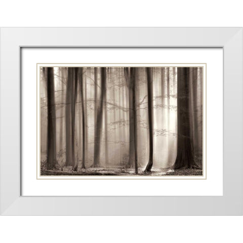 The Cloaking White Modern Wood Framed Art Print with Double Matting by Van De Goor, Lars