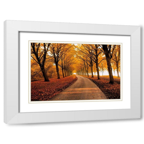 Well Traveled White Modern Wood Framed Art Print with Double Matting by Van De Goor, Lars