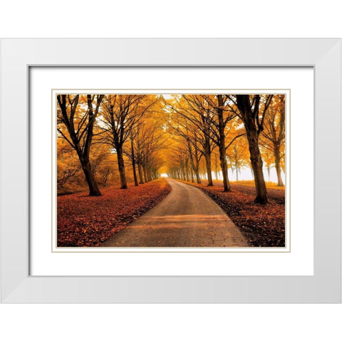 Well Traveled White Modern Wood Framed Art Print with Double Matting by Van De Goor, Lars