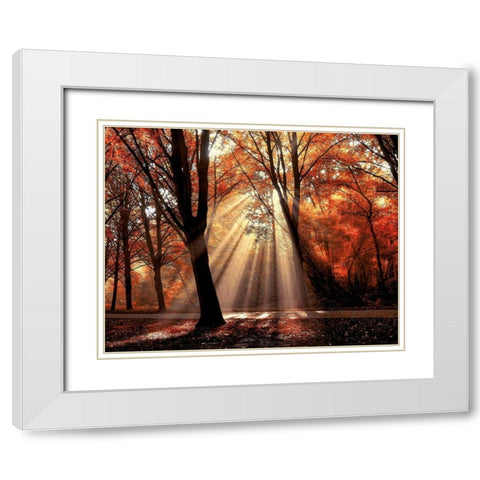 Dressed To White Modern Wood Framed Art Print with Double Matting by Van de Goor, Lars