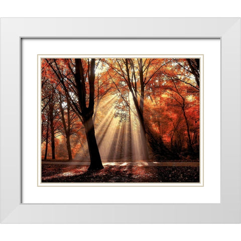 Dressed To White Modern Wood Framed Art Print with Double Matting by Van de Goor, Lars