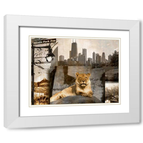 Lincoln Park Zoo White Modern Wood Framed Art Print with Double Matting by Donovan, Kelly
