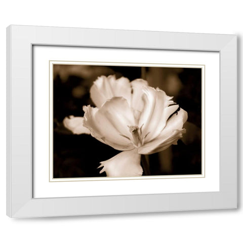 Veronicas Garden II White Modern Wood Framed Art Print with Double Matting by Donovan, Kelly