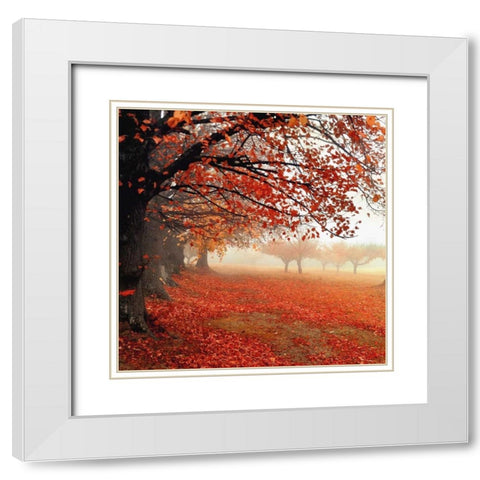 All For Show White Modern Wood Framed Art Print with Double Matting by Weisz, Irene